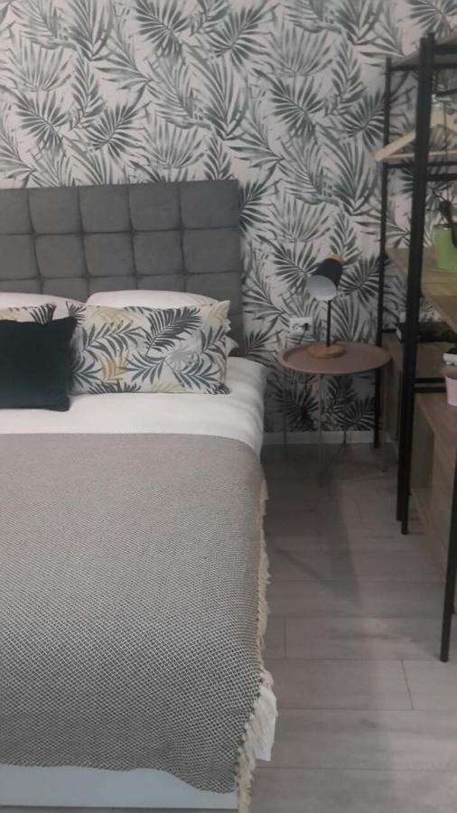 Apartment The Cozy Studio, Centre Varna